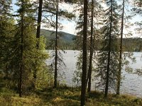 FI, Oulu, Kuusamo, Valtavaara NP 7, Saxifraga-Dirk Hilbers